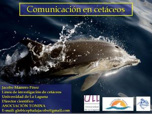 procesos de comunicacion en cetáceos_2