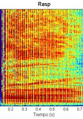 Calderón tropical o de aleta corta